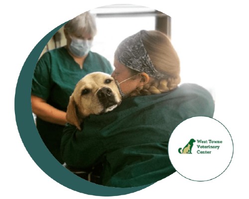 Read more about the article An Interview With Ken Lambrecht, Founding Owner And Medical Director At West Towne Veterinary