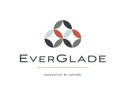 Read more about the article EverGlade Consulting Provides Technology-Driven Solutions And Consulting Strategies To Help Clients Stay Competitive