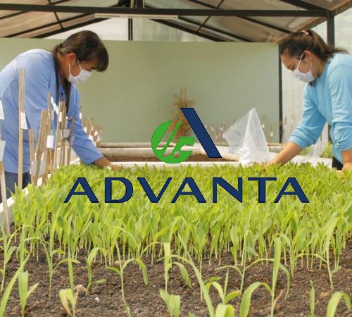 Read more about the article Advanta Seeds Delivers Innovative Farming Solutions And Technology To Farmers Around The World