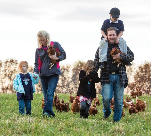 Read more about the article Egg Innovations Provides Free Range And  Pasture-Raised Eggs That Are A Step Beyond The Cage Free Market