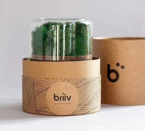briiv Offers Air Purifiers With Biodegradable Filters