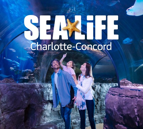 SEA LIFE Charlotte-Concord Implemented Augmented Reality Enabling Visitors Unique Experience
