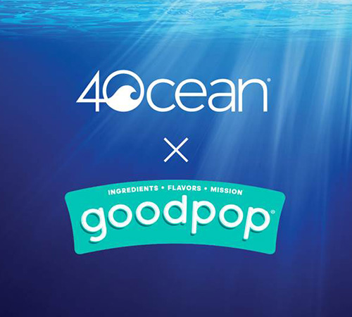 Read more about the article Meet 4ocean – An Ocean CleanUp Company